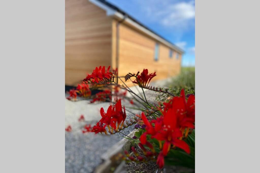 The Gallafield, Self Catering Bungalow , Stornoway Stornoway  Exteriör bild